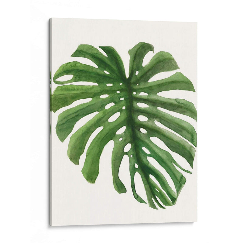 Brisa Tropical Deja - Naomi McCavitt | Cuadro decorativo de Canvas Lab