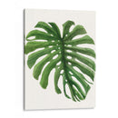Brisa Tropical Deja - Naomi McCavitt | Cuadro decorativo de Canvas Lab