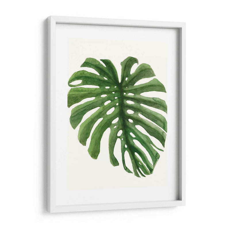 Brisa Tropical Deja - Naomi McCavitt | Cuadro decorativo de Canvas Lab