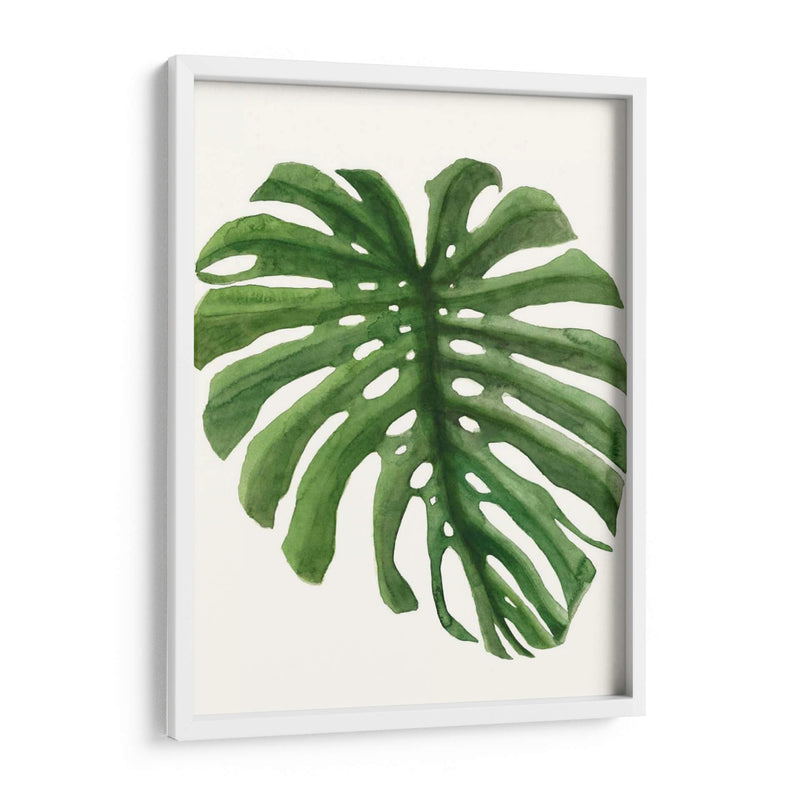 Brisa Tropical Deja - Naomi McCavitt | Cuadro decorativo de Canvas Lab