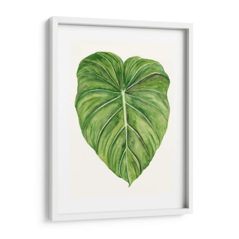 Brisa Tropical Hojas Ii - Naomi McCavitt | Cuadro decorativo de Canvas Lab