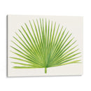 Brisa Tropical Hojas Iii - Naomi McCavitt | Cuadro decorativo de Canvas Lab