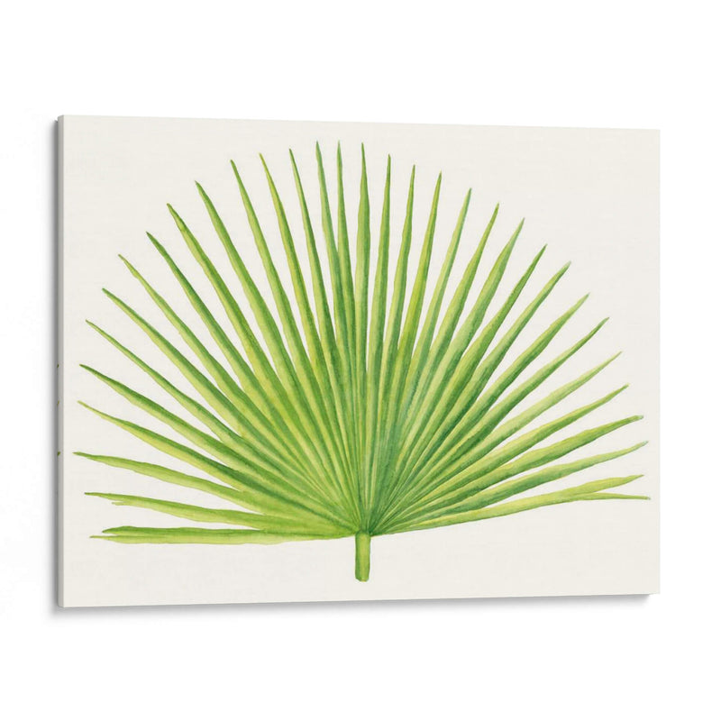 Brisa Tropical Hojas Iii - Naomi McCavitt | Cuadro decorativo de Canvas Lab