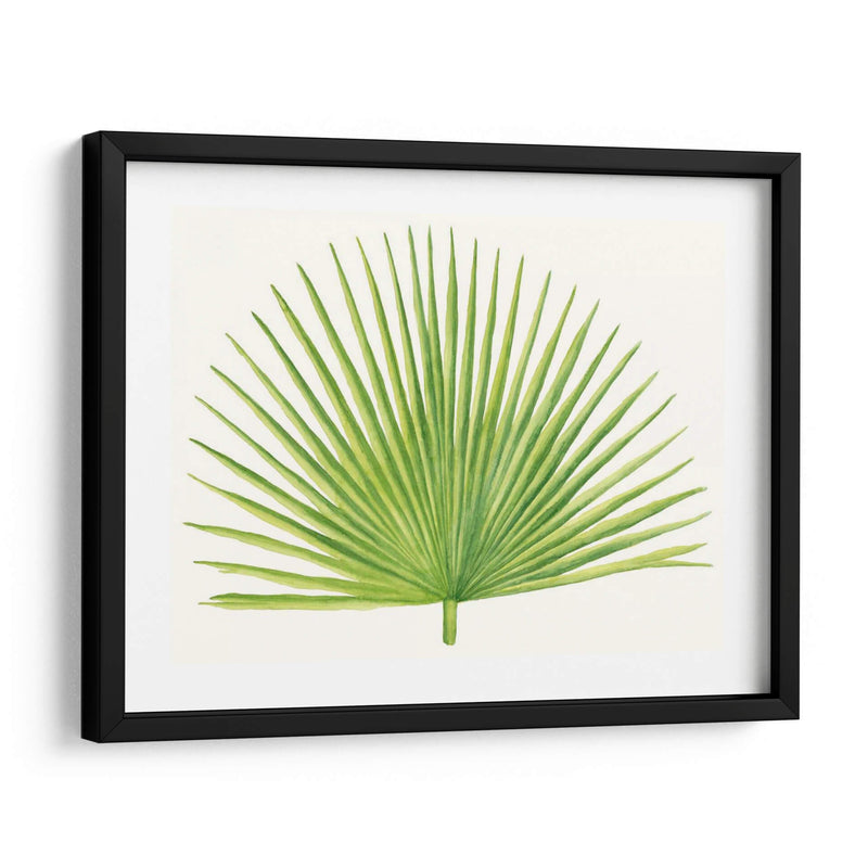 Brisa Tropical Hojas Iii - Naomi McCavitt | Cuadro decorativo de Canvas Lab