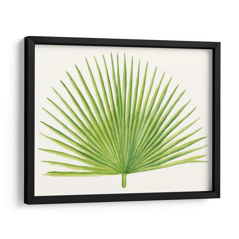 Brisa Tropical Hojas Iii - Naomi McCavitt | Cuadro decorativo de Canvas Lab