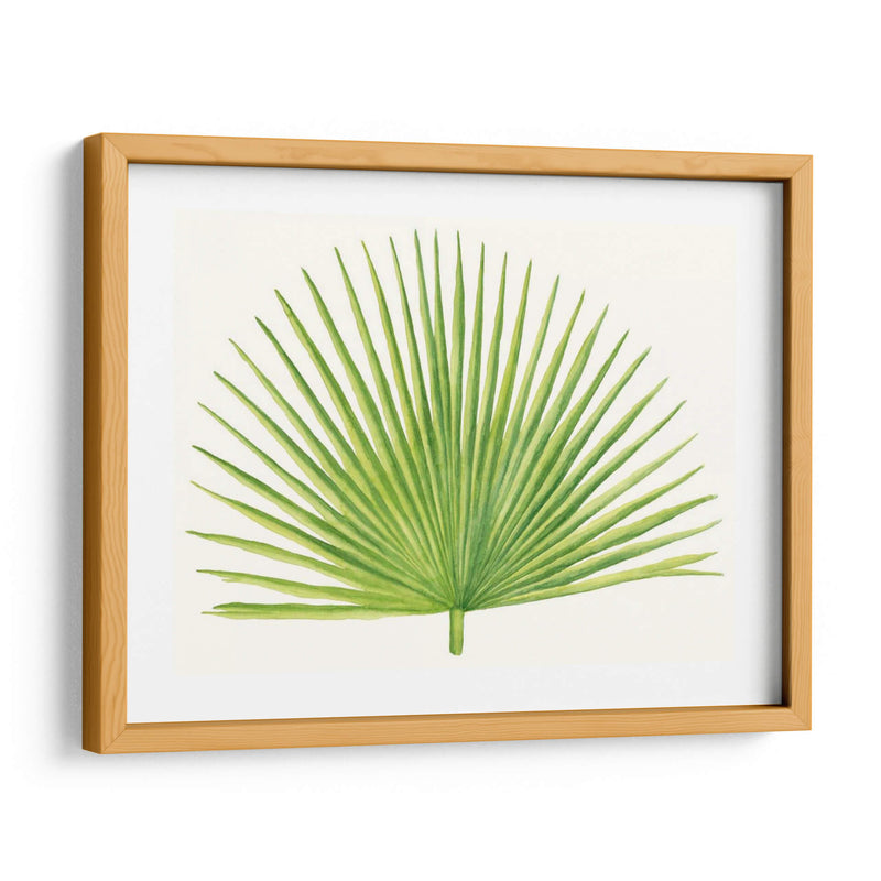 Brisa Tropical Hojas Iii - Naomi McCavitt | Cuadro decorativo de Canvas Lab