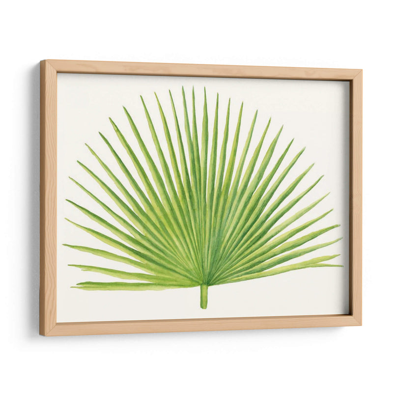 Brisa Tropical Hojas Iii - Naomi McCavitt | Cuadro decorativo de Canvas Lab