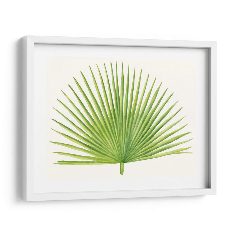 Brisa Tropical Hojas Iii - Naomi McCavitt | Cuadro decorativo de Canvas Lab