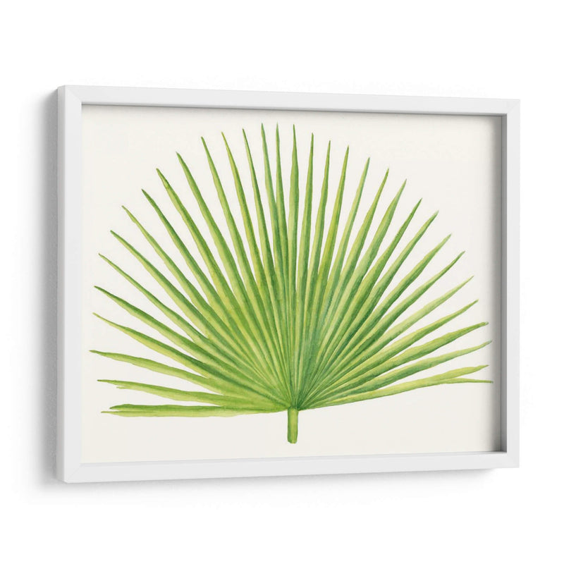 Brisa Tropical Hojas Iii - Naomi McCavitt | Cuadro decorativo de Canvas Lab