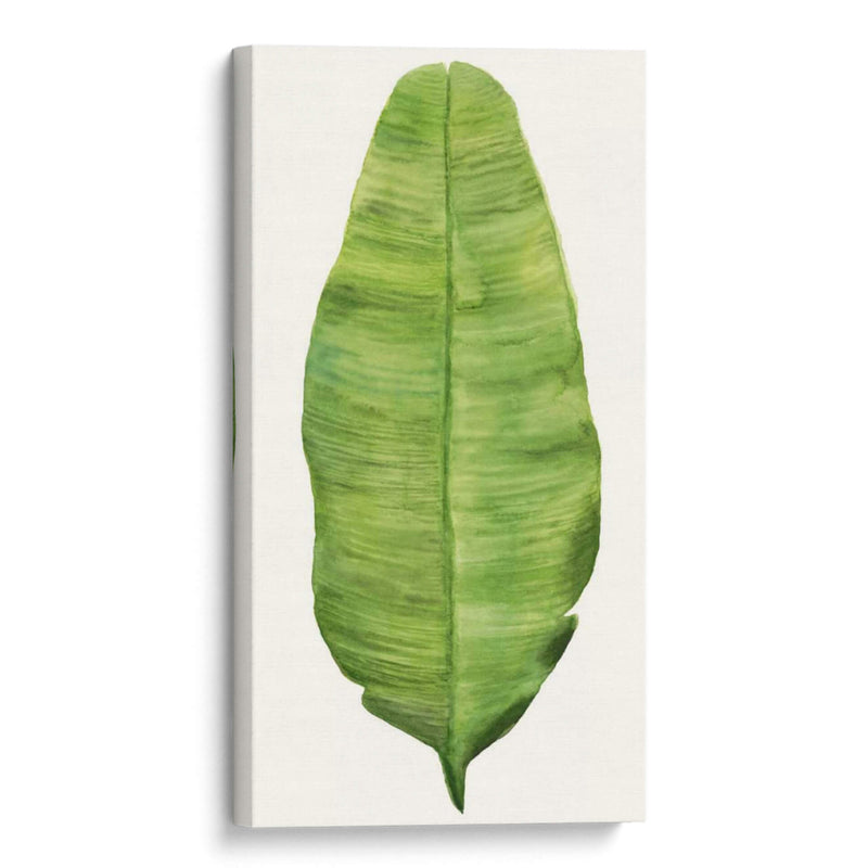 Hojas De Brisa Tropical Iv - Naomi McCavitt | Cuadro decorativo de Canvas Lab