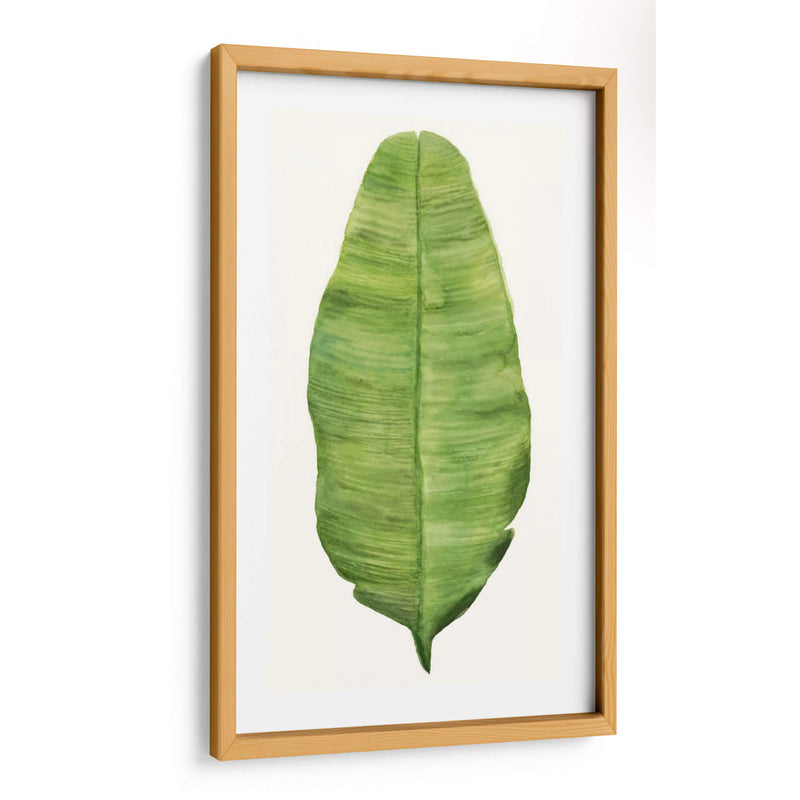 Hojas De Brisa Tropical Iv - Naomi McCavitt | Cuadro decorativo de Canvas Lab