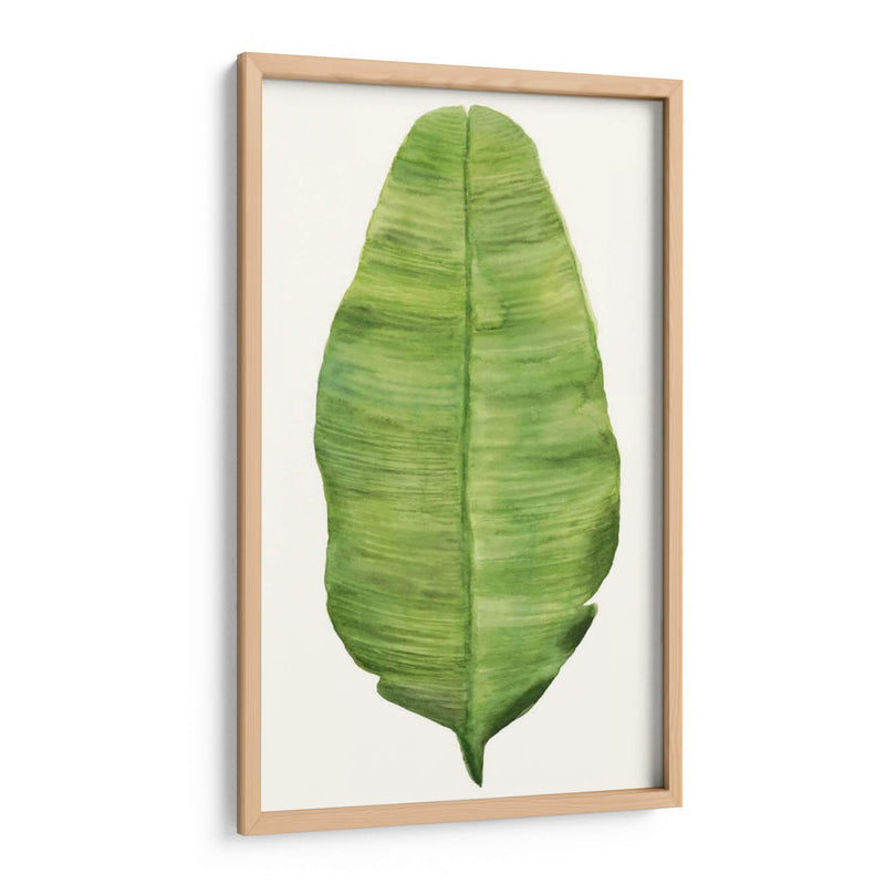 Hojas De Brisa Tropical Iv - Naomi McCavitt | Cuadro decorativo de Canvas Lab