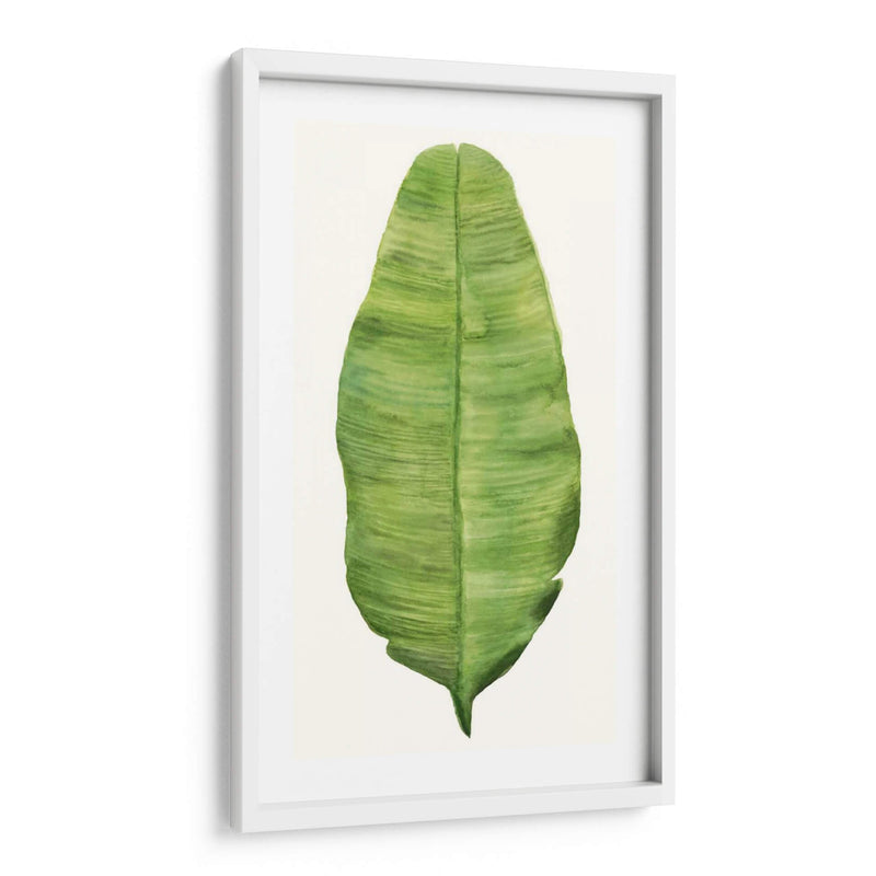 Hojas De Brisa Tropical Iv - Naomi McCavitt | Cuadro decorativo de Canvas Lab