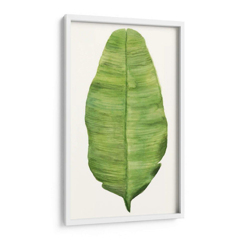 Hojas De Brisa Tropical Iv - Naomi McCavitt | Cuadro decorativo de Canvas Lab