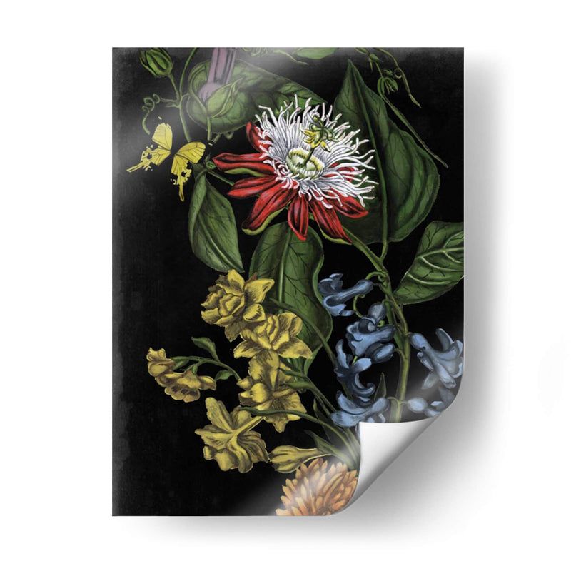 Floral Oscuro Iii - Naomi McCavitt | Cuadro decorativo de Canvas Lab