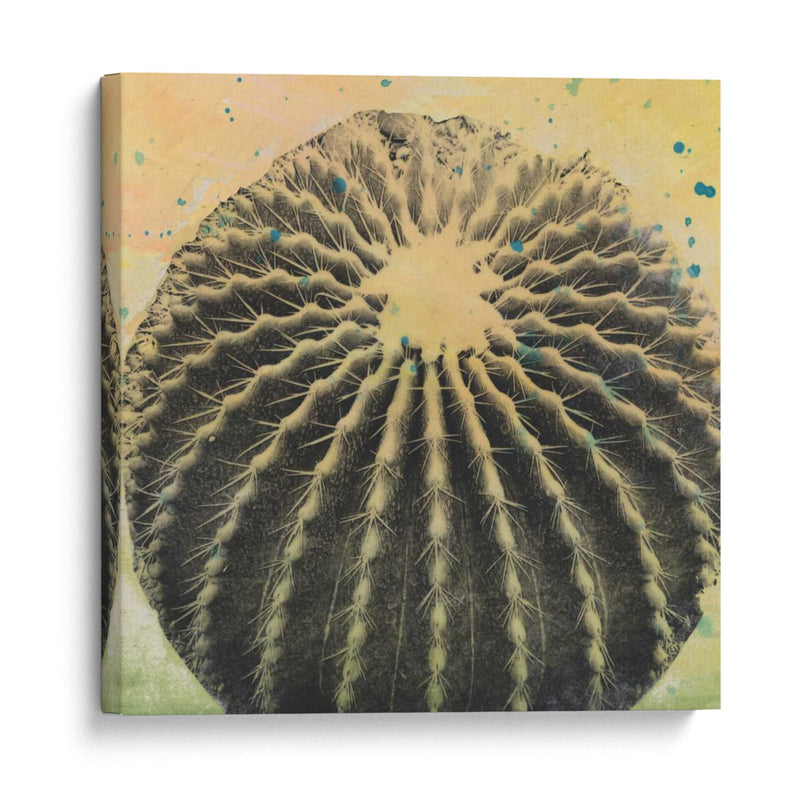 Desert Dreams Iii - Naomi McCavitt | Cuadro decorativo de Canvas Lab