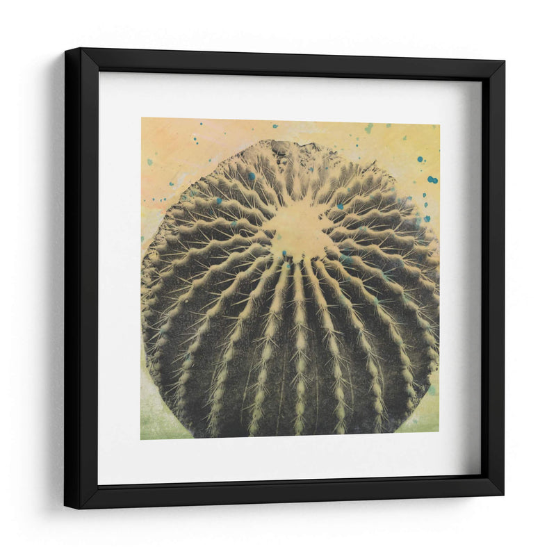 Desert Dreams Iii - Naomi McCavitt | Cuadro decorativo de Canvas Lab