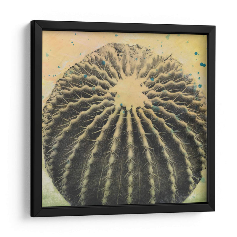 Desert Dreams Iii - Naomi McCavitt | Cuadro decorativo de Canvas Lab