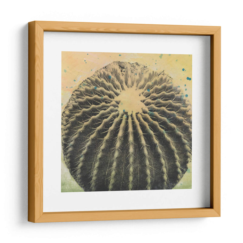 Desert Dreams Iii - Naomi McCavitt | Cuadro decorativo de Canvas Lab