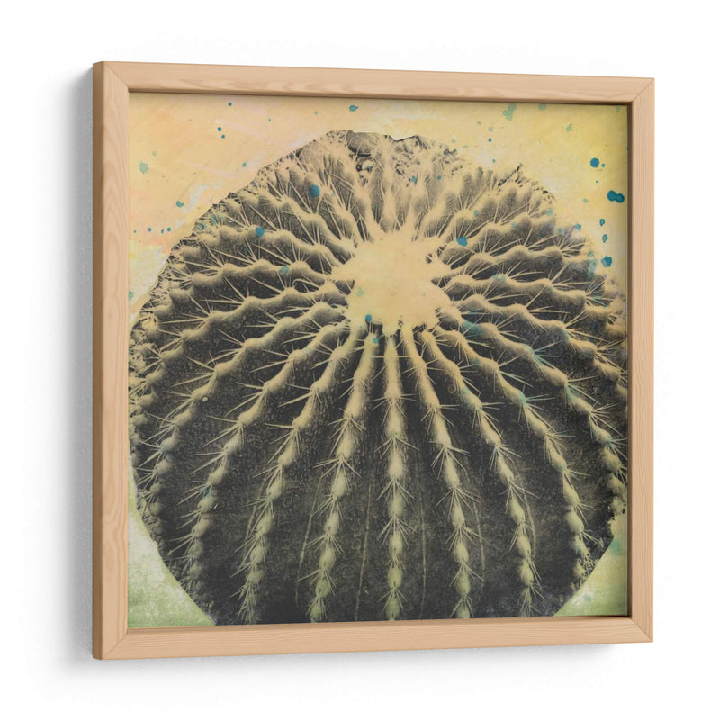 Desert Dreams Iii - Naomi McCavitt | Cuadro decorativo de Canvas Lab