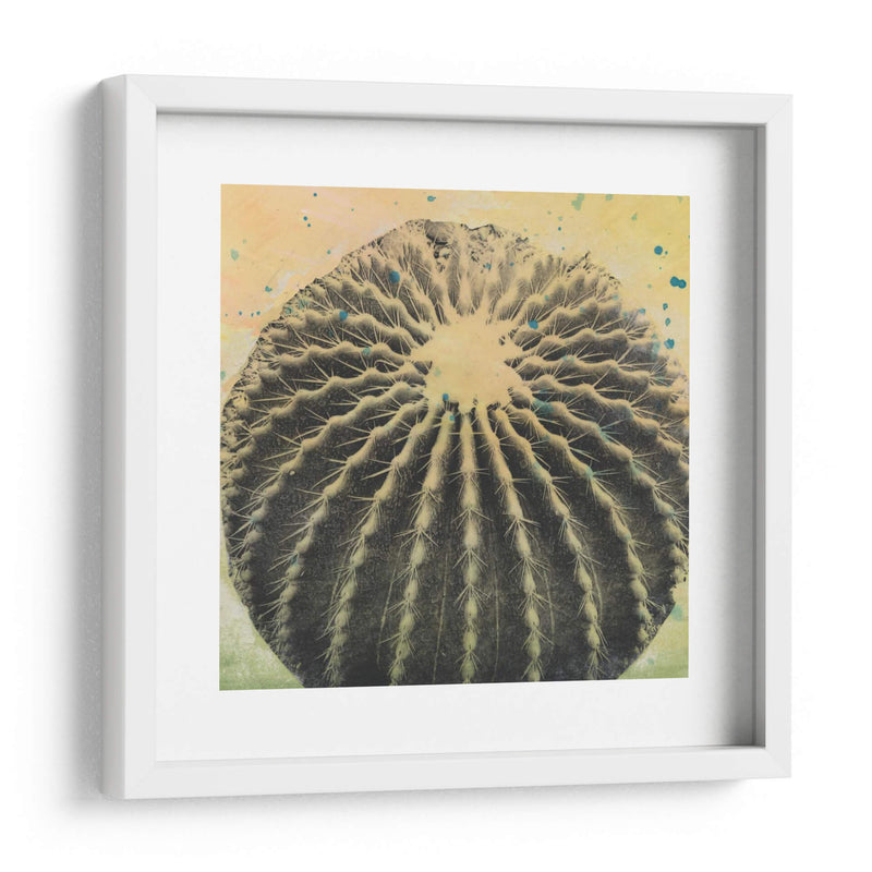 Desert Dreams Iii - Naomi McCavitt | Cuadro decorativo de Canvas Lab