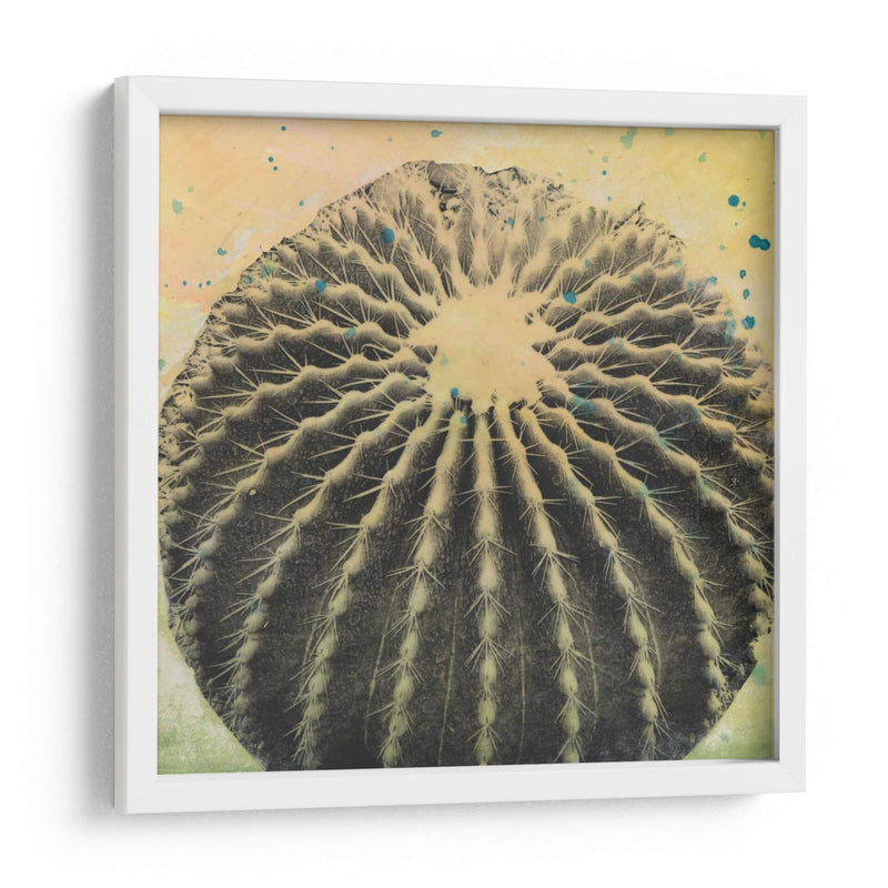 Desert Dreams Iii - Naomi McCavitt | Cuadro decorativo de Canvas Lab