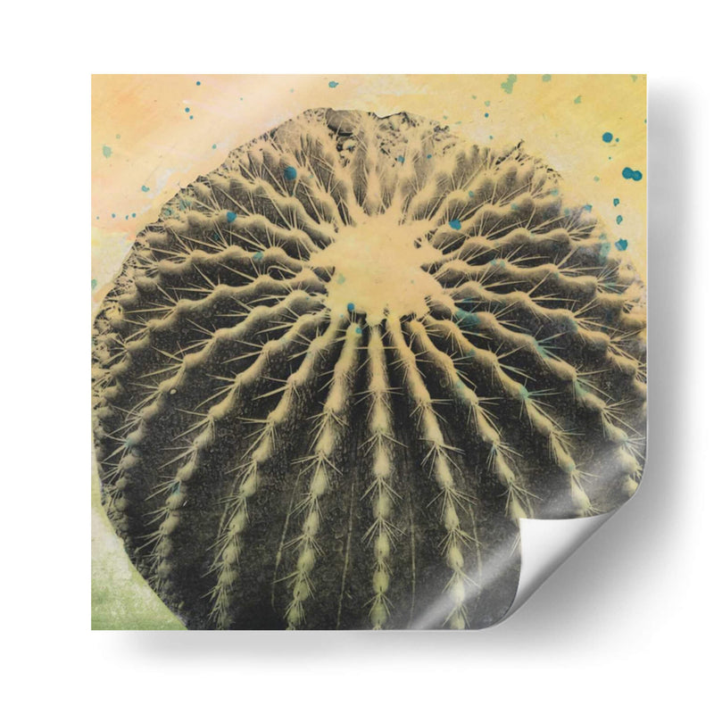 Desert Dreams Iii - Naomi McCavitt | Cuadro decorativo de Canvas Lab