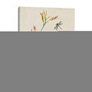 Canna Y Libélulas I - Vision Studio | Cuadro decorativo de Canvas Lab