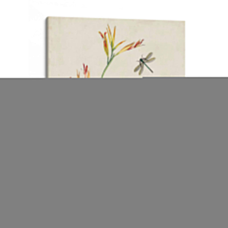 Canna Y Libélulas I - Vision Studio | Cuadro decorativo de Canvas Lab