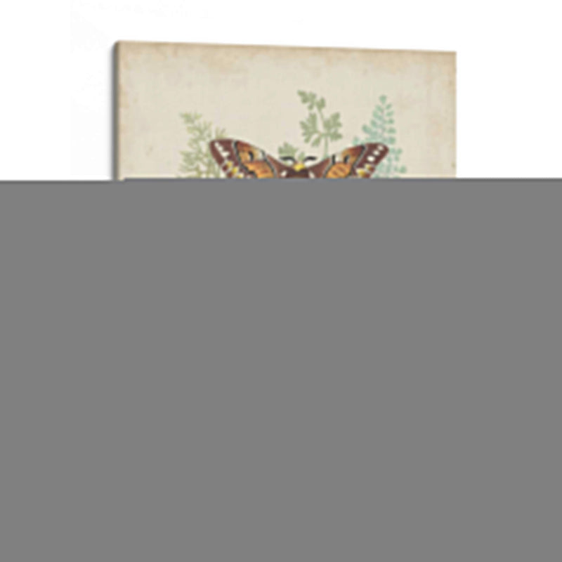 Mariposas Y Helechos I - Vision Studio | Cuadro decorativo de Canvas Lab