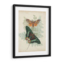 Mariposas Y Helechos I - Vision Studio | Cuadro decorativo de Canvas Lab