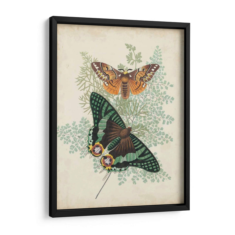 Mariposas Y Helechos I - Vision Studio | Cuadro decorativo de Canvas Lab