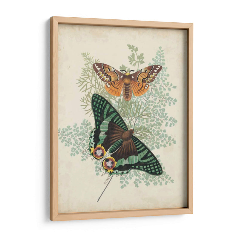 Mariposas Y Helechos I - Vision Studio | Cuadro decorativo de Canvas Lab