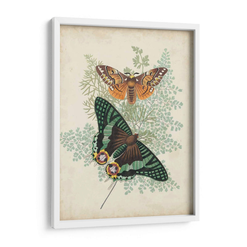 Mariposas Y Helechos I - Vision Studio | Cuadro decorativo de Canvas Lab