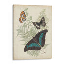 Mariposas Y Helechos Ii - Vision Studio | Cuadro decorativo de Canvas Lab