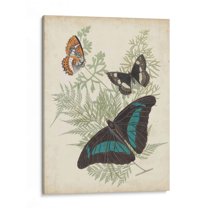 Mariposas Y Helechos Ii - Vision Studio | Cuadro decorativo de Canvas Lab