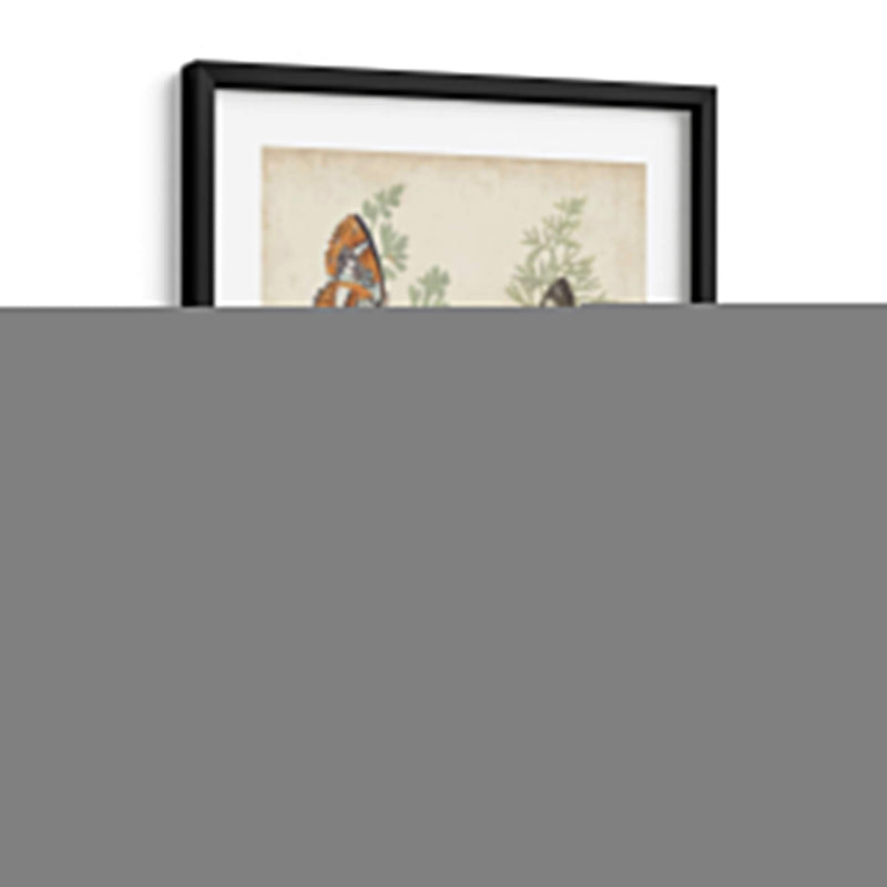 Mariposas Y Helechos Ii - Vision Studio | Cuadro decorativo de Canvas Lab