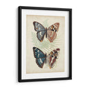 Mariposas Y Helechos Iv - Vision Studio | Cuadro decorativo de Canvas Lab