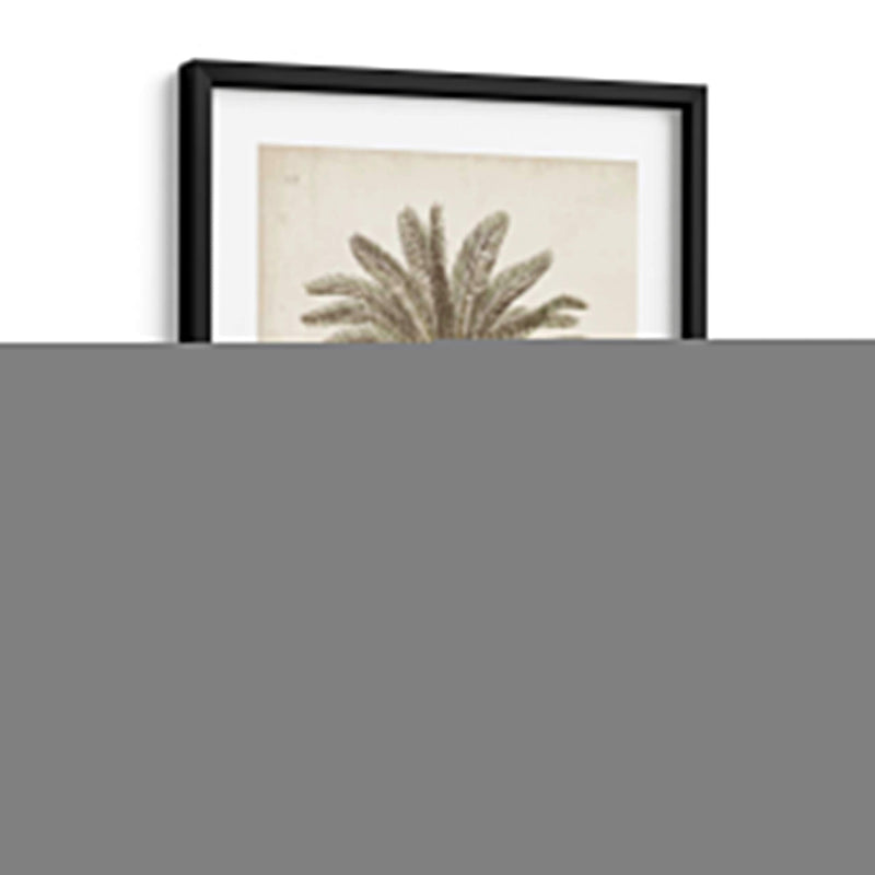 Palmera Tropical Antigua I - Elizabeth Twining | Cuadro decorativo de Canvas Lab