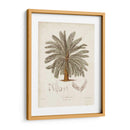 Palmera Tropical Antigua I - Elizabeth Twining | Cuadro decorativo de Canvas Lab