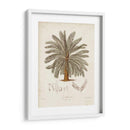 Palmera Tropical Antigua I - Elizabeth Twining | Cuadro decorativo de Canvas Lab