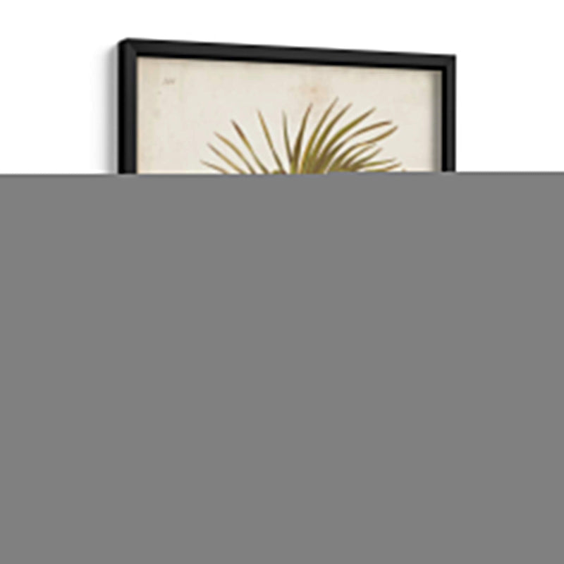 Antiguo Palm Tropical Ii - Elizabeth Twining | Cuadro decorativo de Canvas Lab