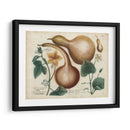 Exótico Weinmann Botanical I - Weinmann | Cuadro decorativo de Canvas Lab