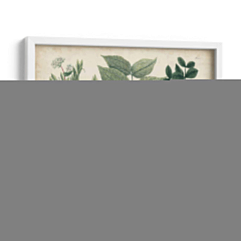 Exótico Weinmann Botanical Ii - Weinmann | Cuadro decorativo de Canvas Lab