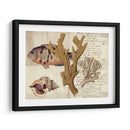 Sealife Journal I - Vision Studio | Cuadro decorativo de Canvas Lab