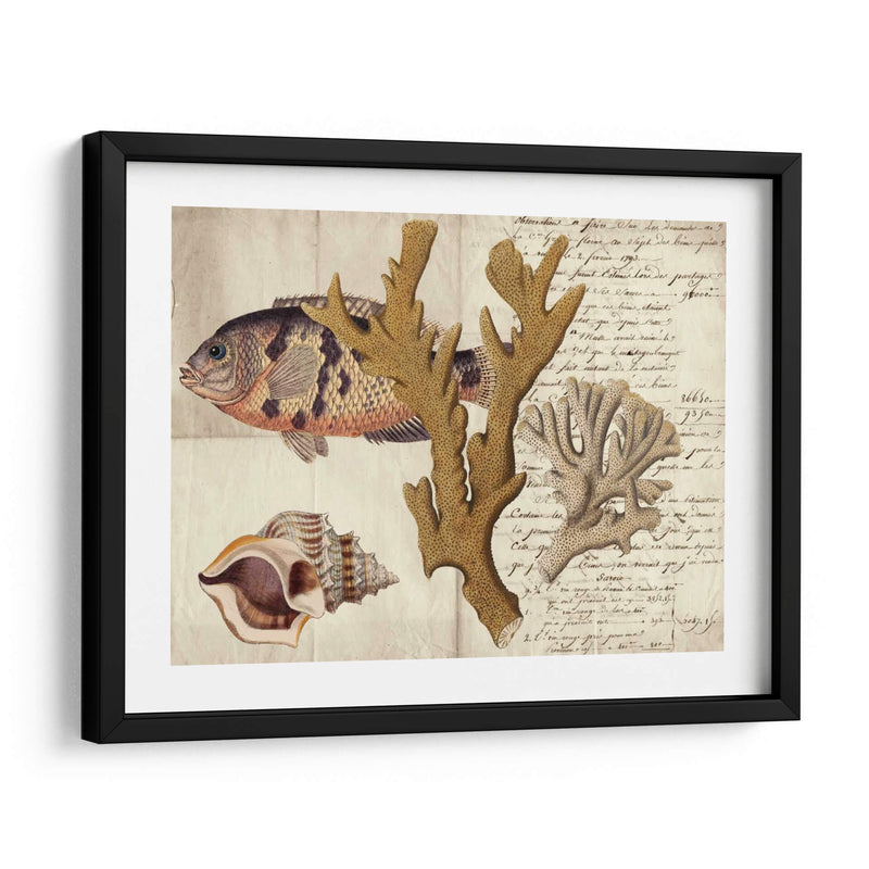 Sealife Journal I - Vision Studio | Cuadro decorativo de Canvas Lab