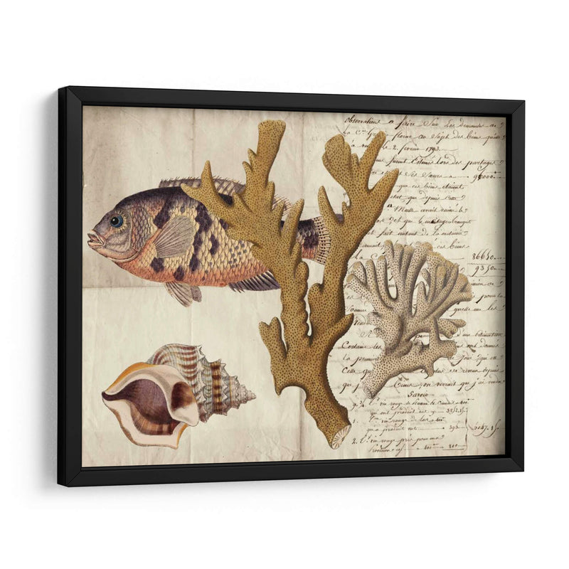 Sealife Journal I - Vision Studio | Cuadro decorativo de Canvas Lab