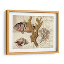 Sealife Journal I - Vision Studio | Cuadro decorativo de Canvas Lab