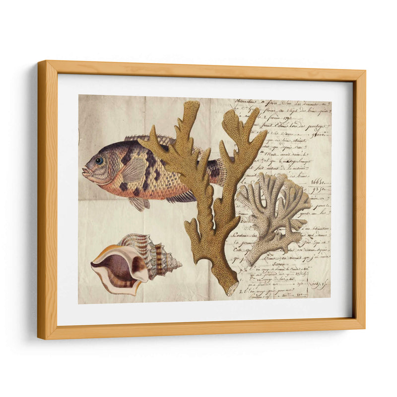 Sealife Journal I - Vision Studio | Cuadro decorativo de Canvas Lab