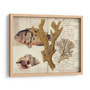 Sealife Journal I - Vision Studio | Cuadro decorativo de Canvas Lab
